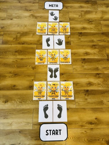 Pszczółki  -  Karty ruchowe / ścieżka  