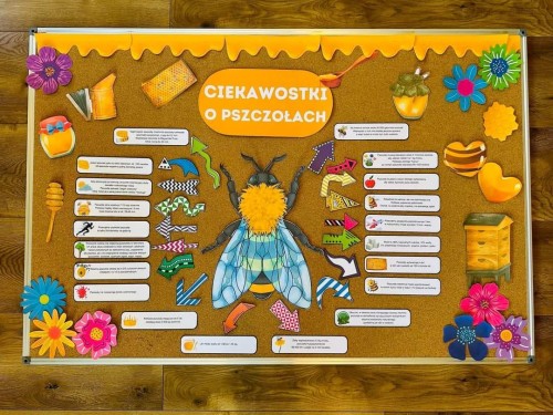 Pszczółki - Ciekawostki o pszczołach (1)