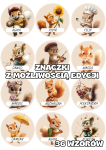 Wiewiórki - Znaczki do szatni/ na szafki z możliwością edycji     
